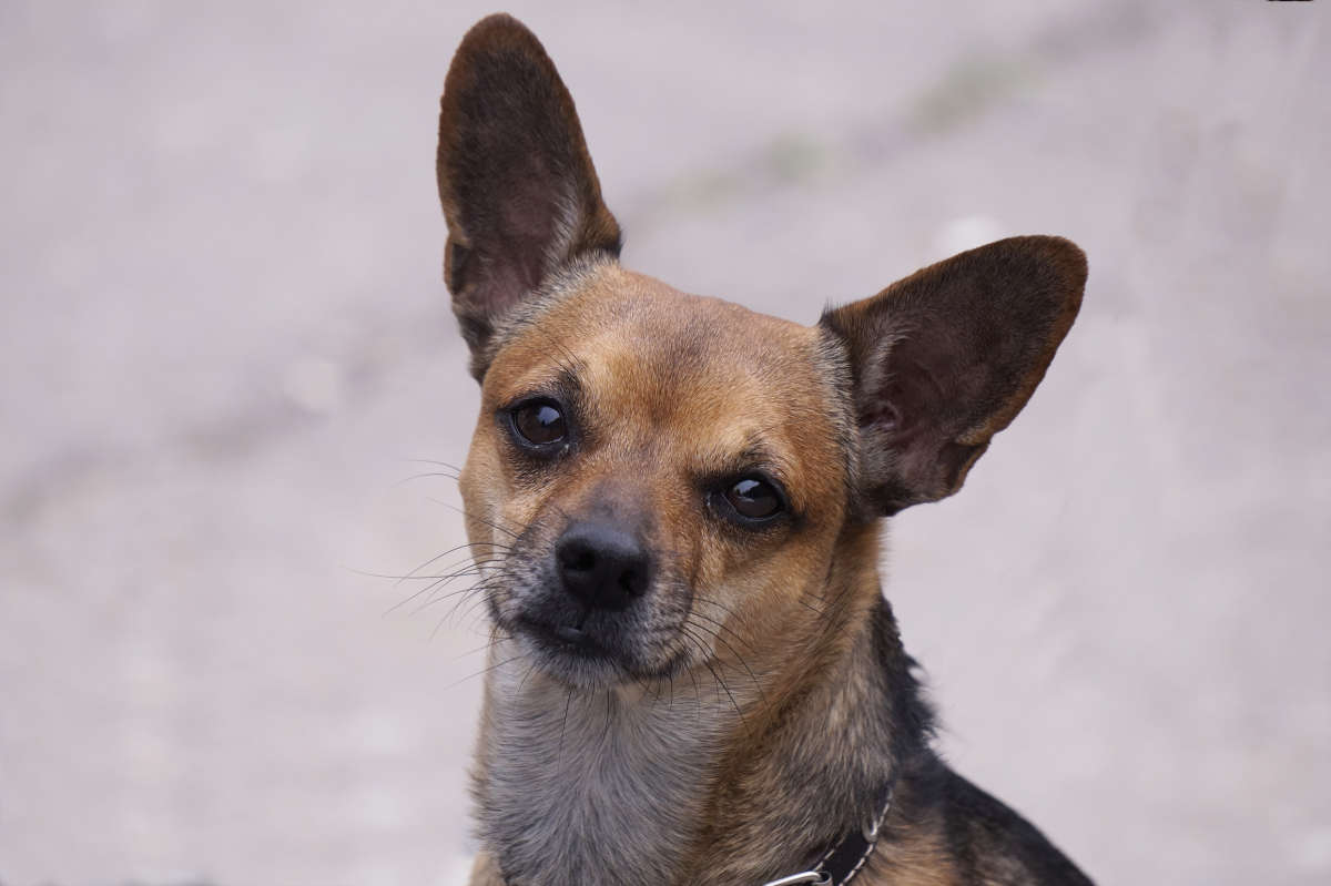 "��������" ����� ������ ������ �� PhotoGeek.ru #�������� ���