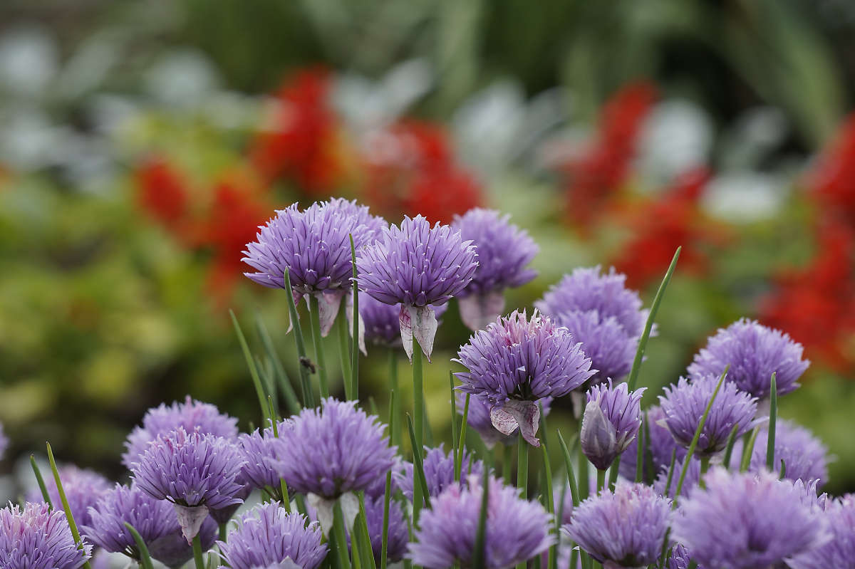 "������� ���������" ����� ������ ������ �� PhotoGeek.ru #������ ��� �������