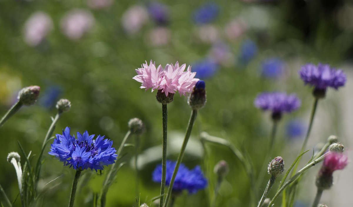 "����������� �����������" ����� ������ ������ �� PhotoGeek.ru #������ ��� �������