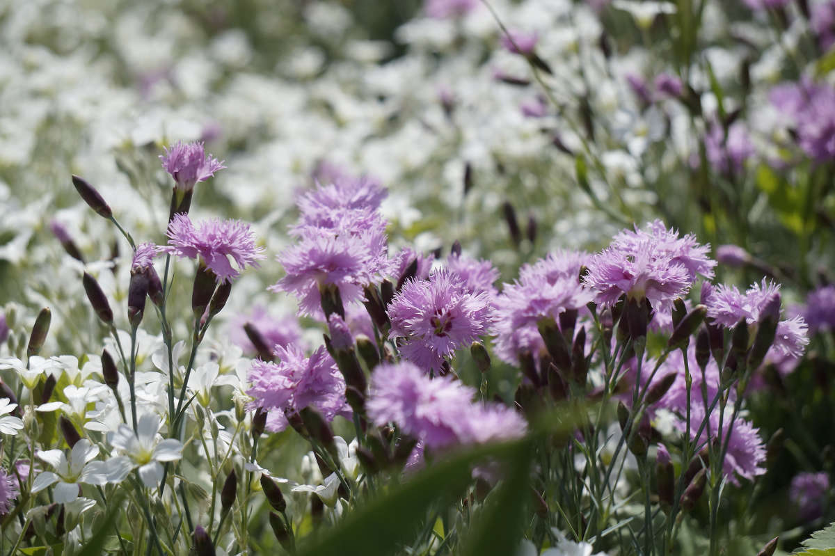 "����������� ����" ����� ������ ������ �� PhotoGeek.ru #������ ��� �������