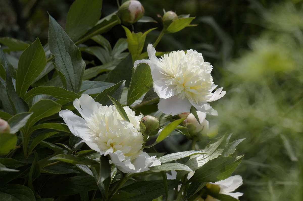 "����� ������ 2" ����� ������ ������ �� PhotoGeek.ru #������ ��� �������