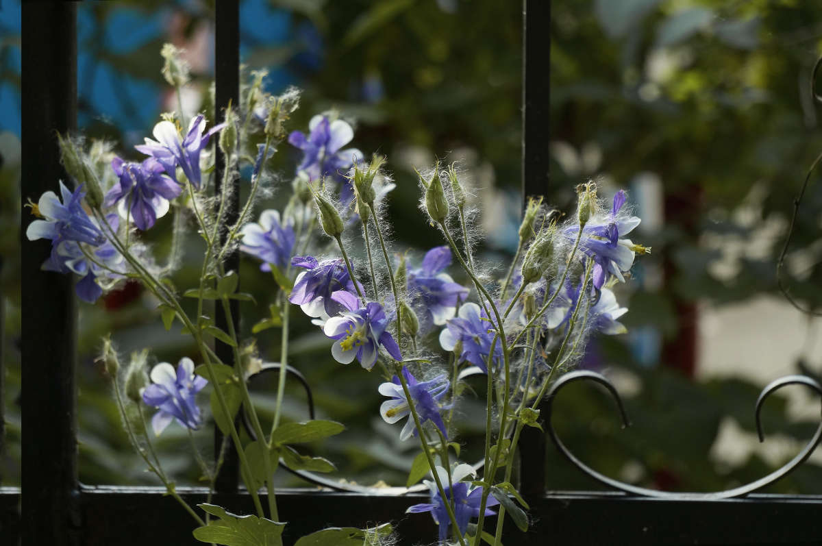 "� ������ �������� ������" ����� ������ ������ �� PhotoGeek.ru #������ ��� �������