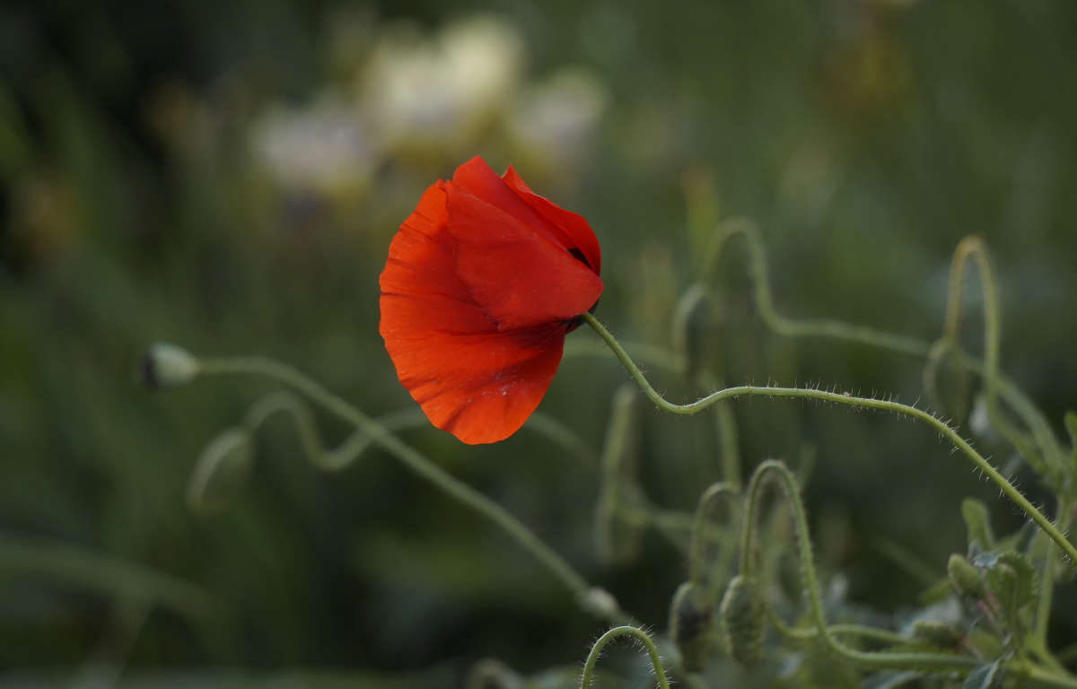 ������� ����� ����� ������ ������ �� PhotoGeek.ru #������ ��� �������