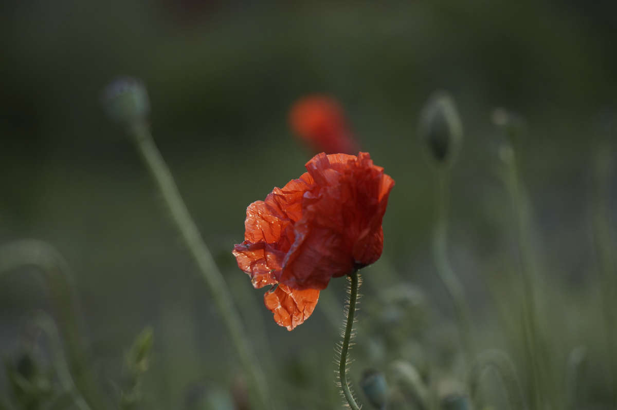 ������� ����� 2 ����� ������ ������ �� PhotoGeek.ru #������ ��� �������