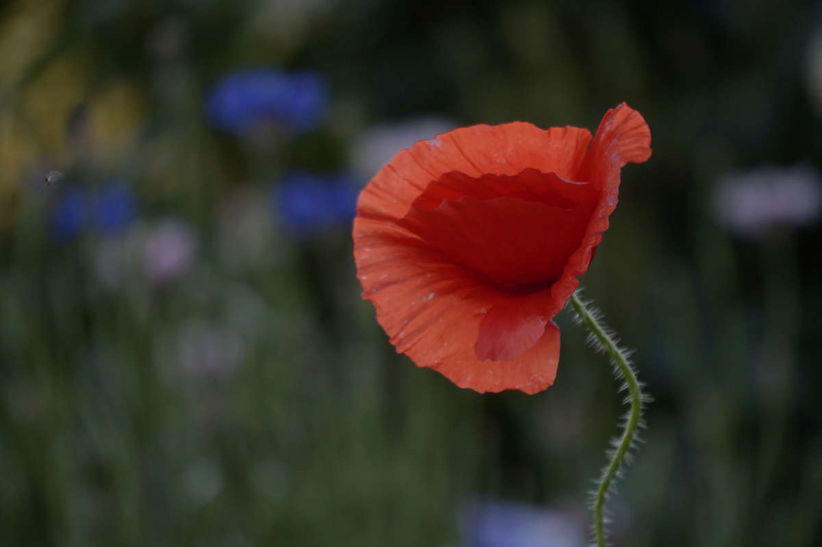 ������� ����� 4 ����� ������ ������ �� PhotoGeek.ru #������ ��� �������