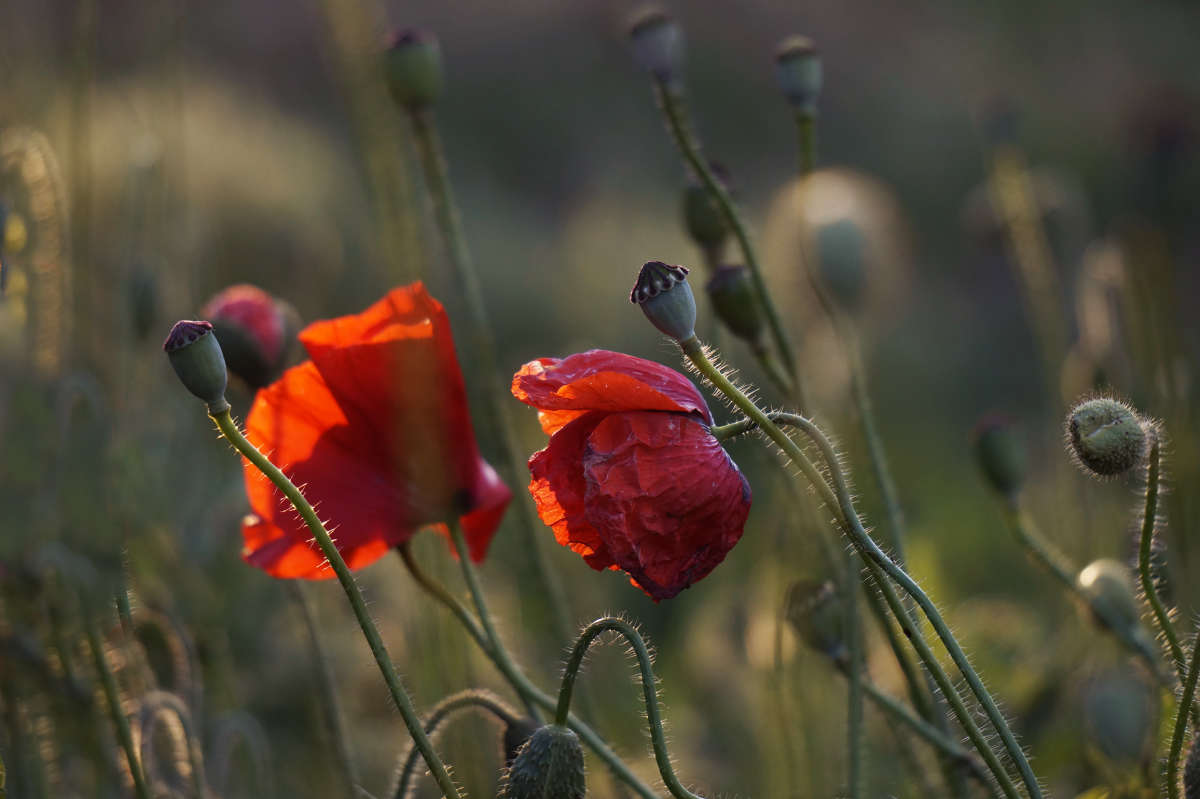 ������� ����� 5 ����� ������ ������ �� PhotoGeek.ru #������ ��� �������