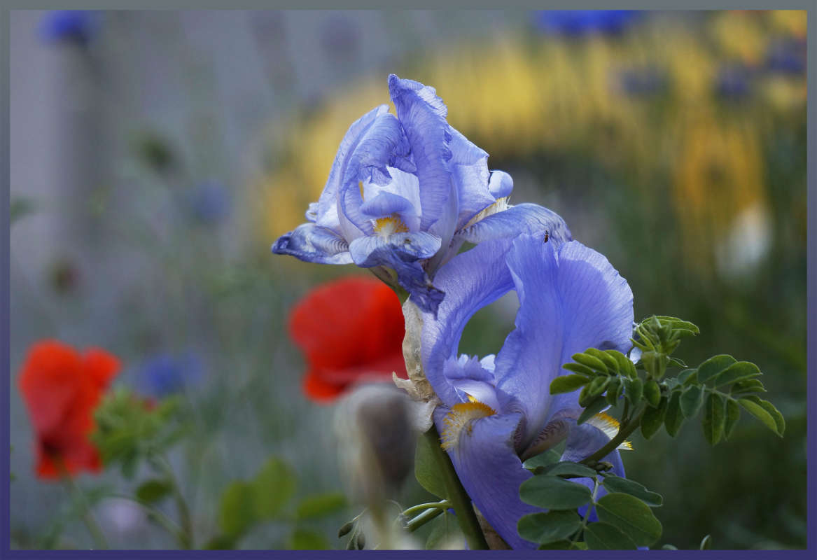 "���� ��������" ����� ������ ������ �� PhotoGeek.ru #������ ��� �������