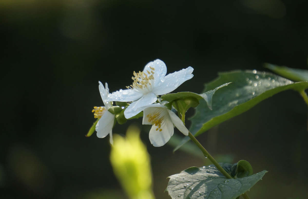 ���� ����� ����� ����� ������ ������ �� PhotoGeek.ru #������ ��� �������