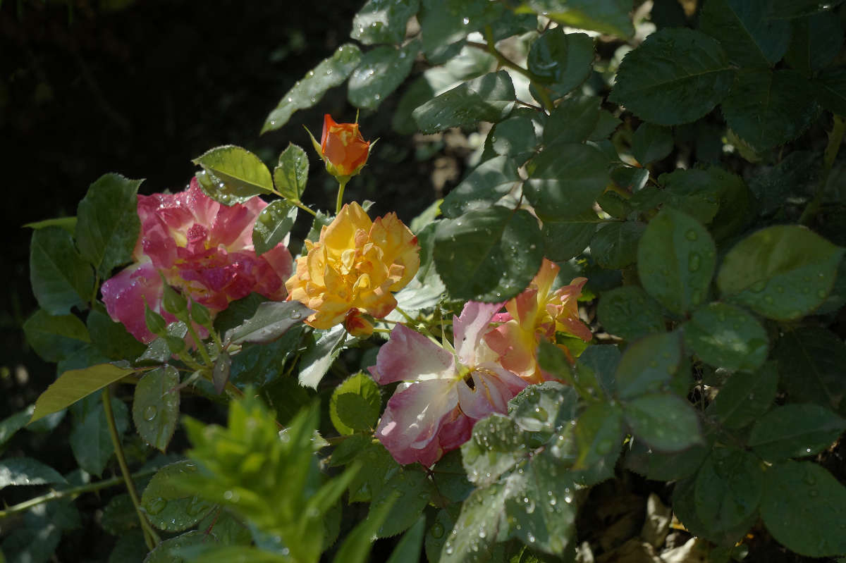 ���� ����� ����� 3 ����� ������ ������ �� PhotoGeek.ru #������ ��� �������