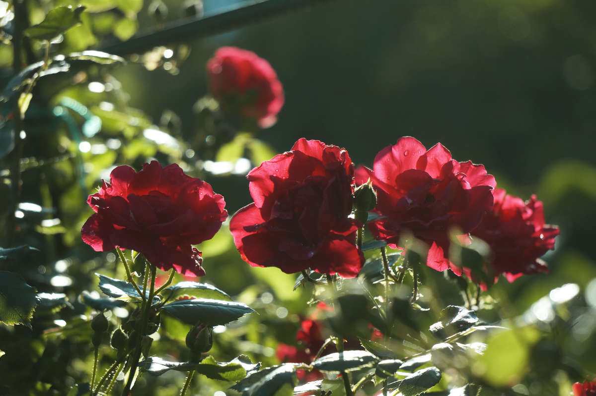 ���� ����� ����� 4 ����� ������ ������ �� PhotoGeek.ru #������ ��� �������