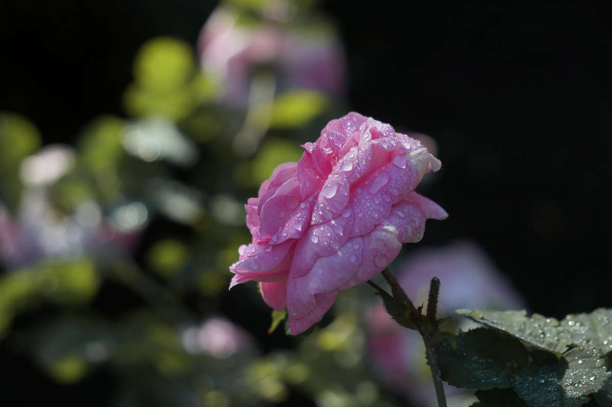 ���� ����� ����� 6 ����� ������ ������ �� PhotoGeek.ru #������ ��� �������