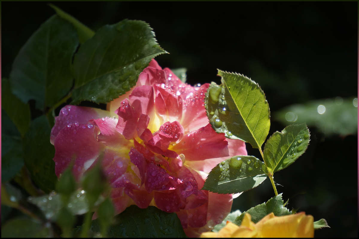 ���� ����� ����� 7 ����� ������ ������ �� PhotoGeek.ru #������ ��� �������