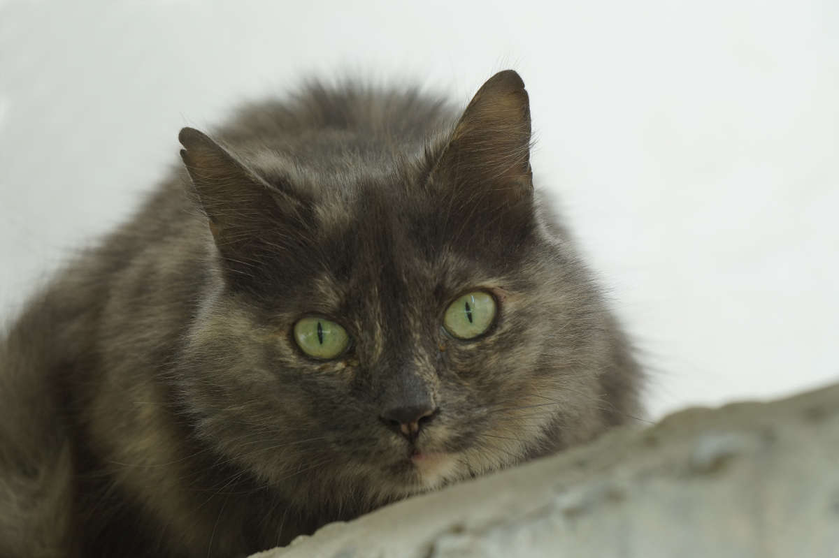 "���������" ����� ������ ������ �� PhotoGeek.ru #�������� ���