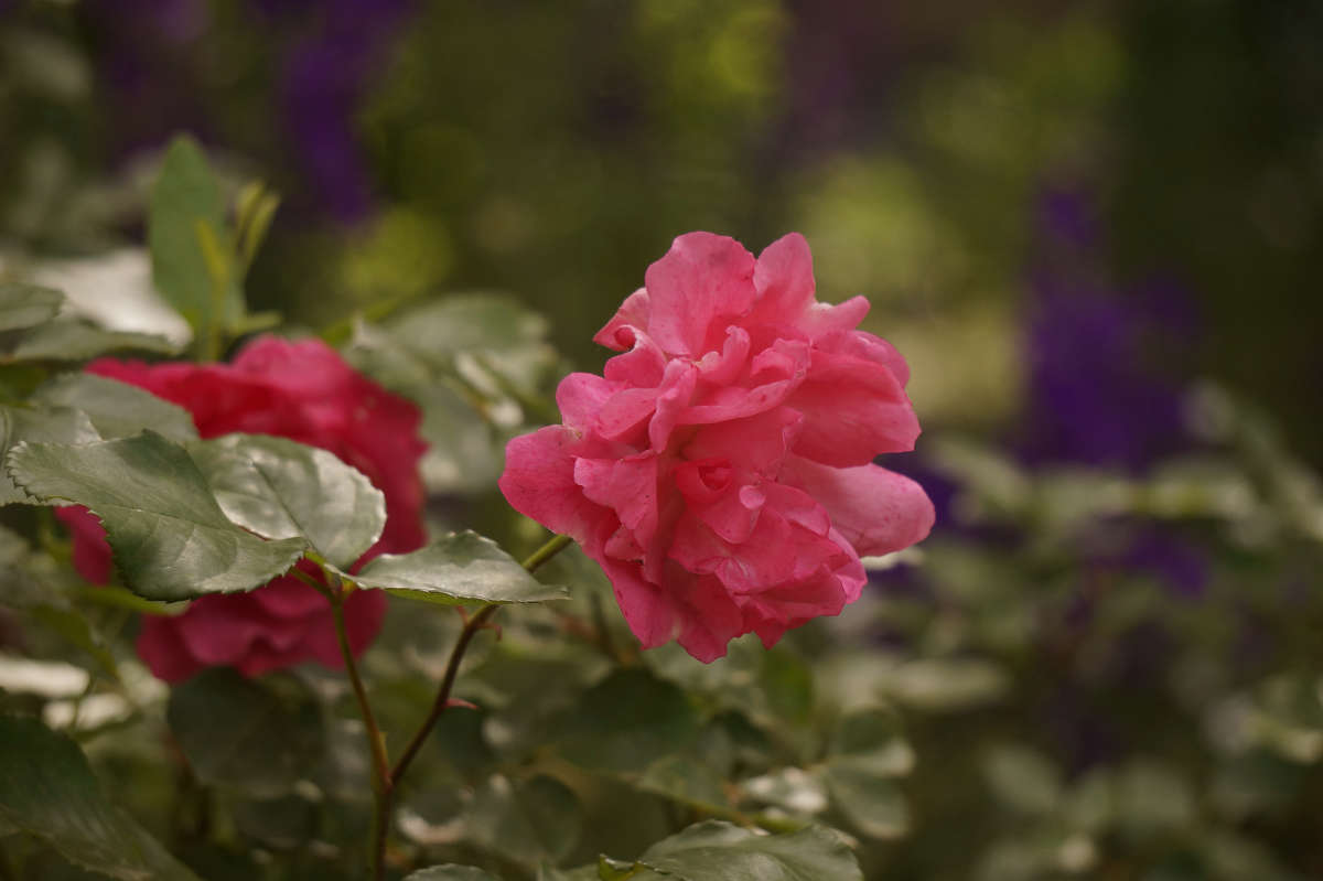 "������� ����" ����� ������ ������ �� PhotoGeek.ru #������ ��� �������