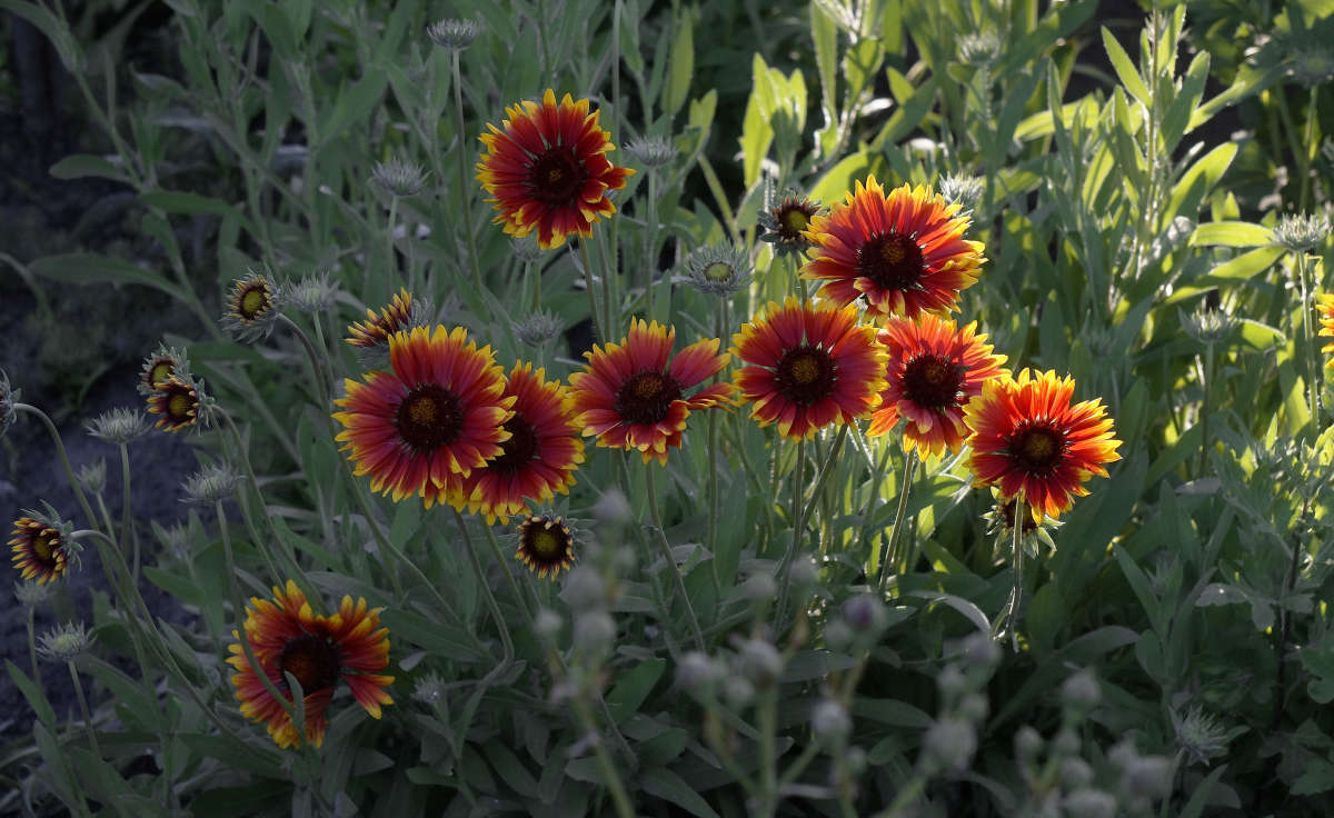 �������� ����� ������ ������ �� PhotoGeek.ru #������ ��� �������