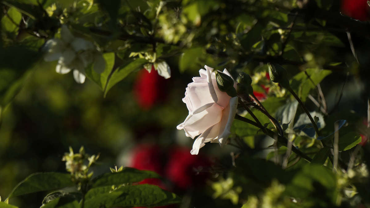 ����� ���� � ������� ����� ������ ������ �� PhotoGeek.ru #������ ��� �������