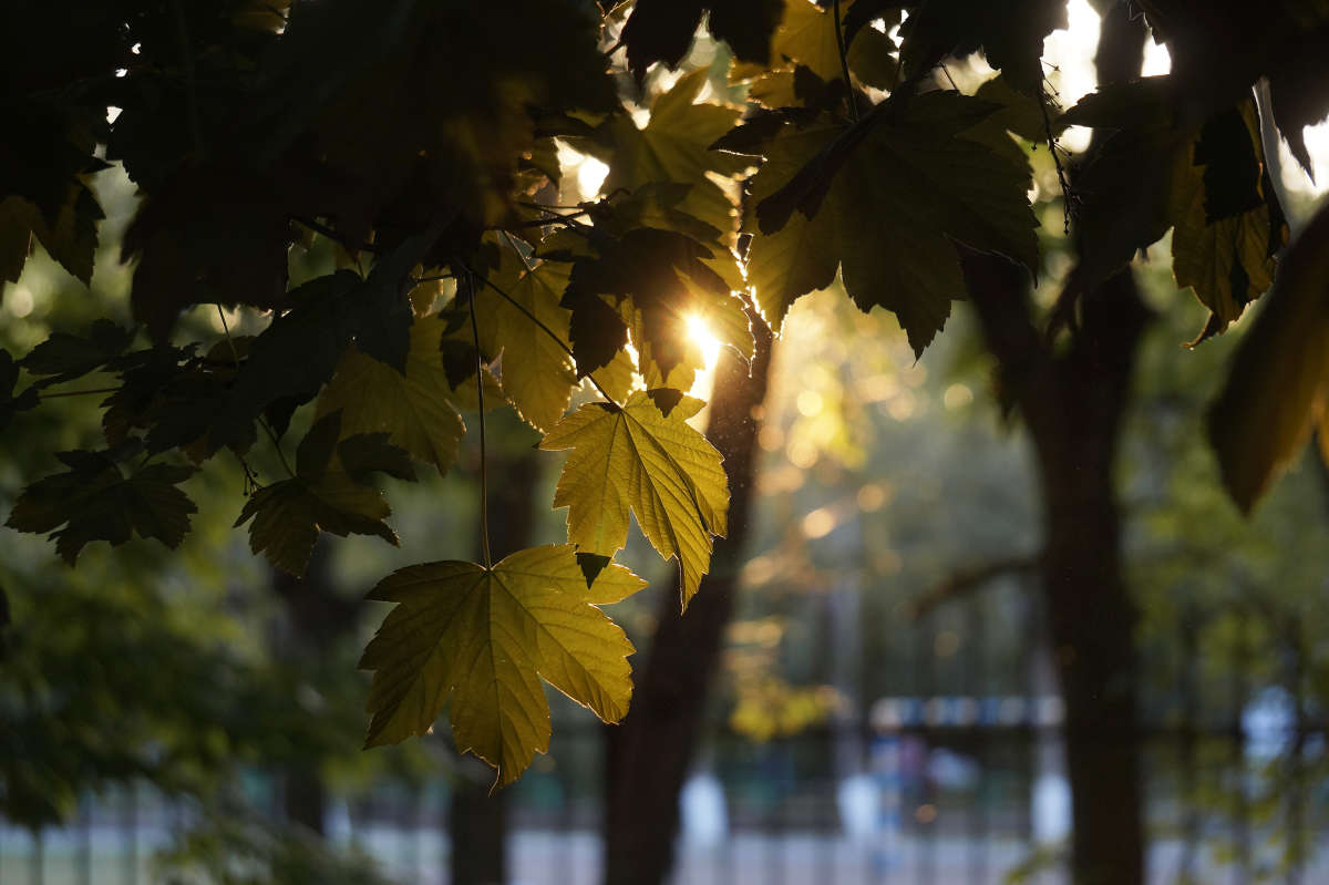 "����� � ������" ����� ������ ������ �� PhotoGeek.ru #������ ��� �������