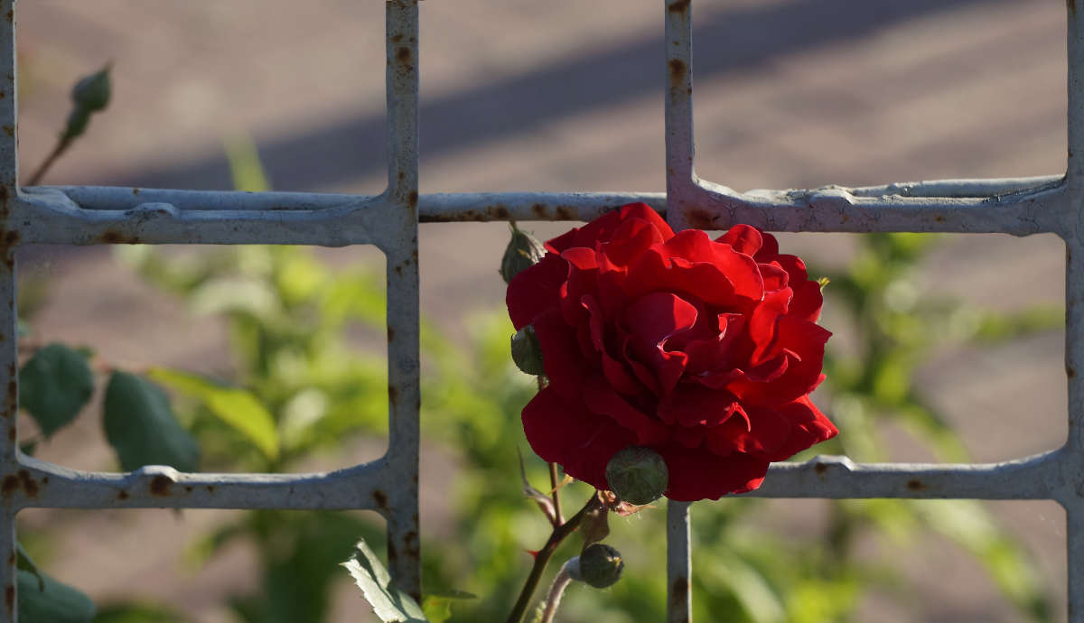 "�� �������" ����� ������ ������ �� PhotoGeek.ru #������ ��� �������