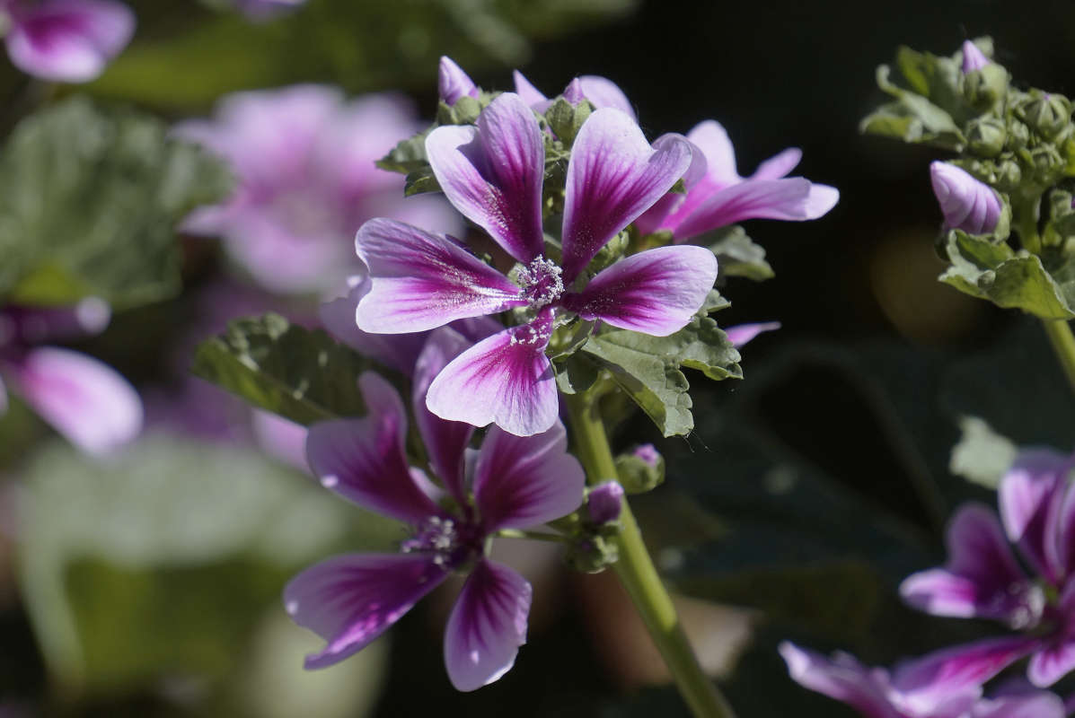 "���� ���������" ����� ������ ������ �� PhotoGeek.ru #������ ��� �������