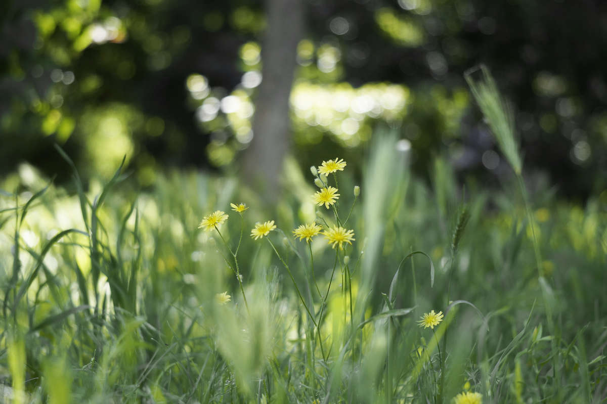 "�������" ����� ������ ������ �� PhotoGeek.ru #������ ��� �������