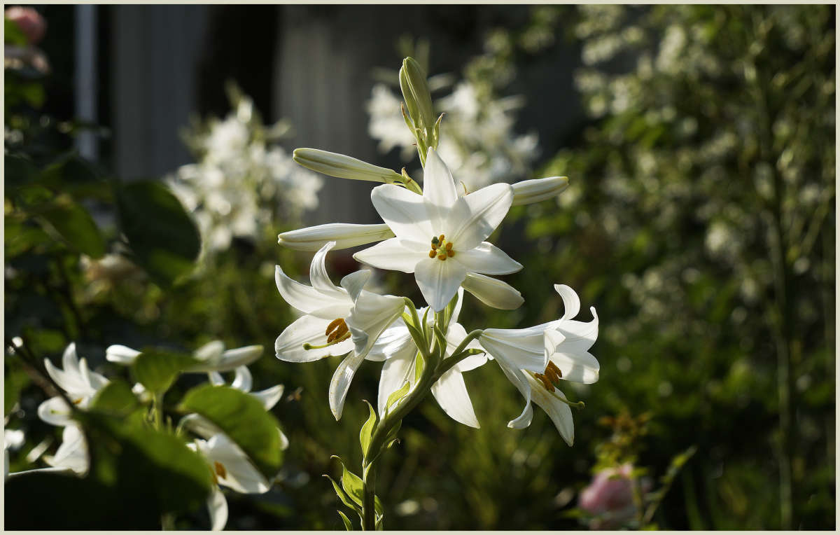 "����������" ����� ������ ������ �� PhotoGeek.ru #������ ��� �������