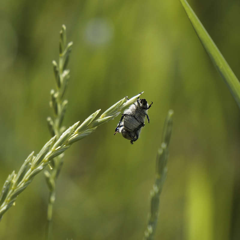 "������� �������" ����� ������ ������ �� PhotoGeek.ru #�������� ���