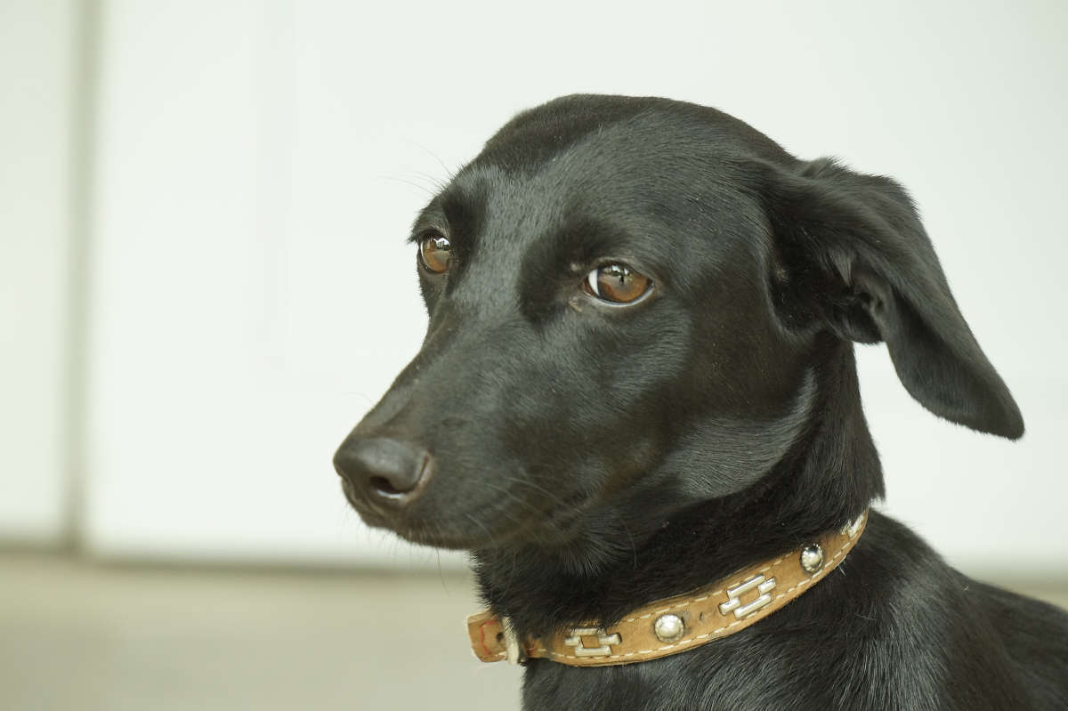 "����������� ������" ����� ������ ������ �� PhotoGeek.ru #�������� ���