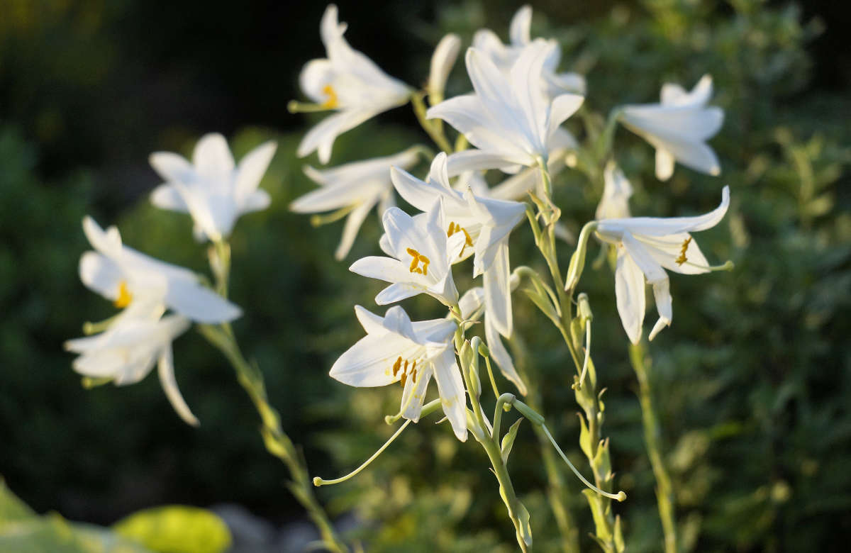 "������� 5" ����� ������ ������ �� PhotoGeek.ru #������ ��� �������