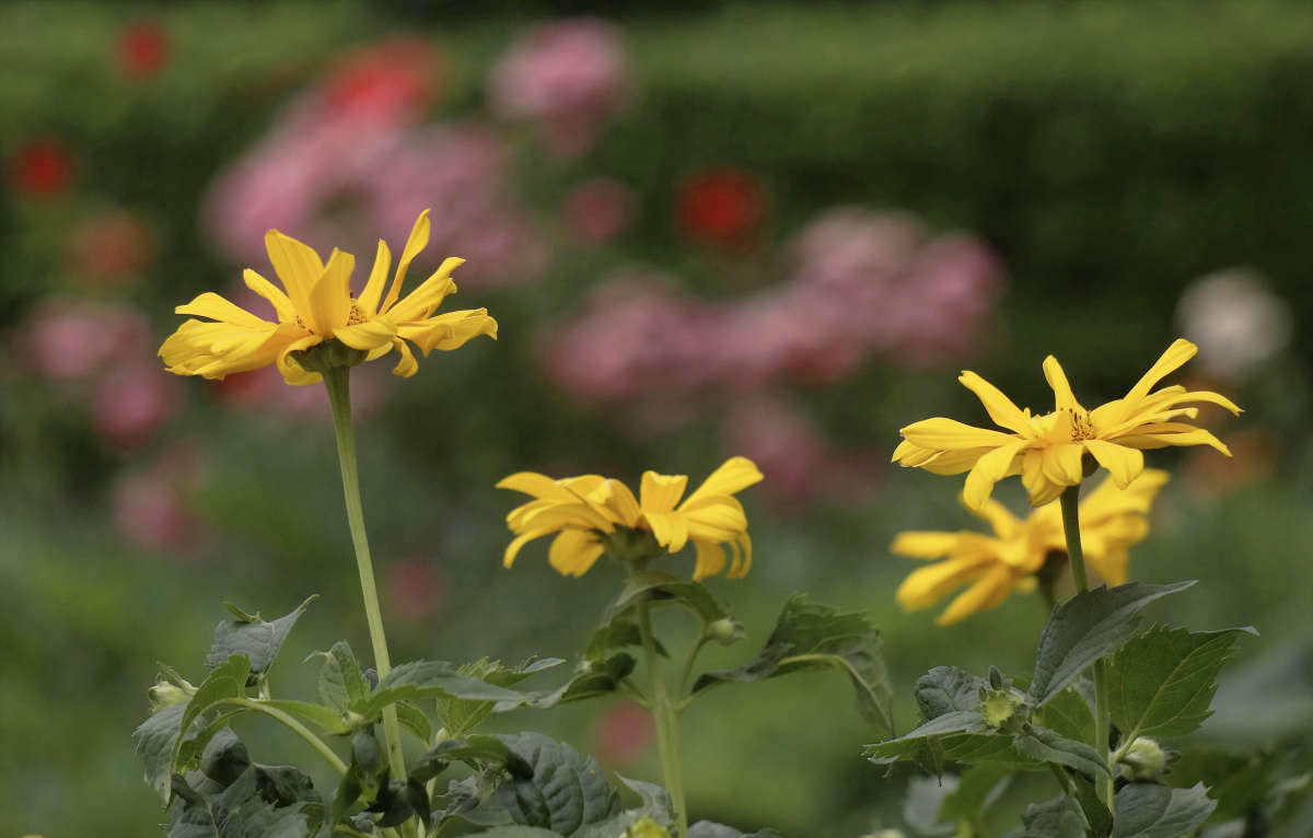 "������� 2" ����� ������ ������ �� PhotoGeek.ru #������ ��� �������