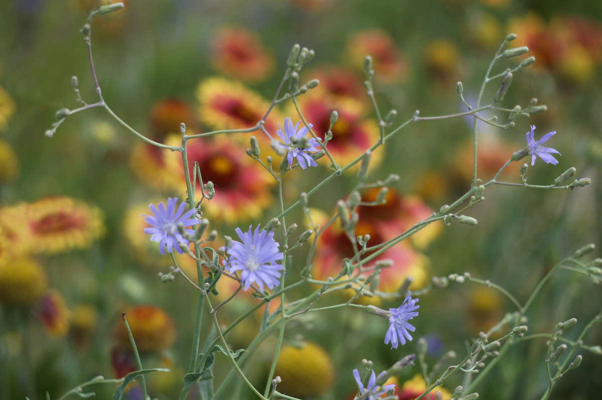 "�������� ���" ����� ������ ������ �� PhotoGeek.ru #������ ��� �������