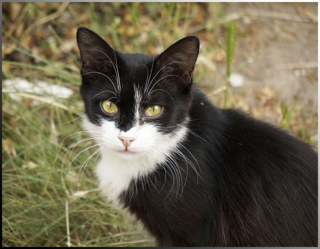 "���� �� ��������" ����� ������ ������ �� PhotoGeek.ru #�������� ���