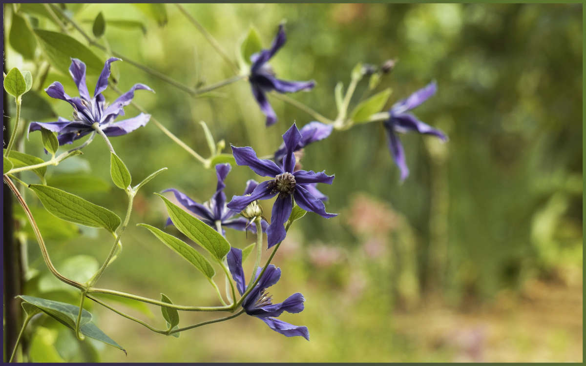 "��������� ���������" ����� ������ ������ �� PhotoGeek.ru #������ ��� �������