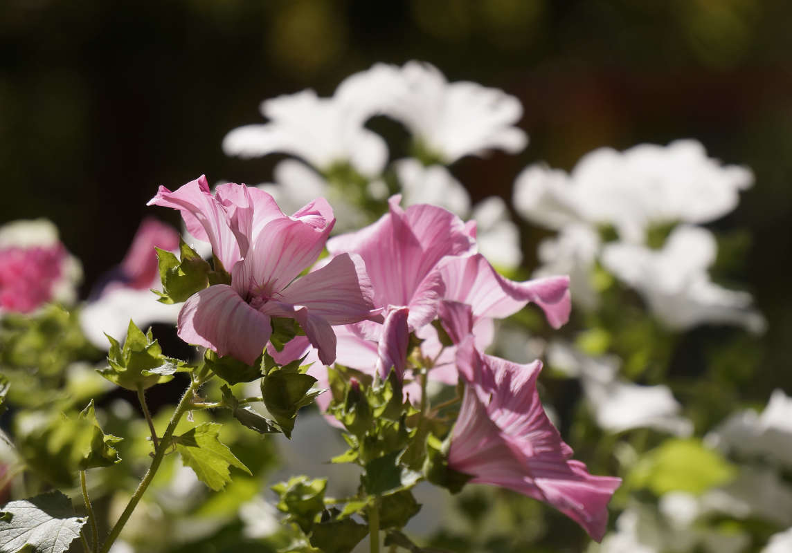 "����� �������" ����� ������ ������ �� PhotoGeek.ru #������ ��� �������