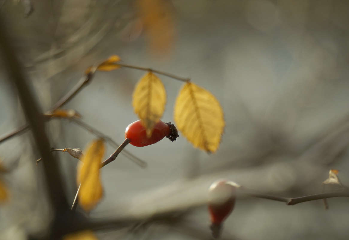 "�����������" ����� ������ ������ �� PhotoGeek.ru #������ ��� �������