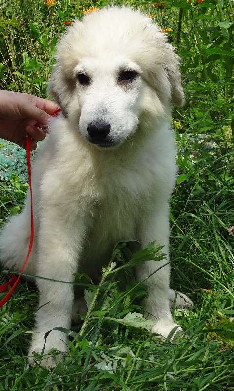 ... ����� Viktoria Yakovleva �� PhotoGeek.ru #�������� ���