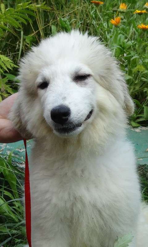 ... ����� Viktoria Yakovleva �� PhotoGeek.ru #�������� ���