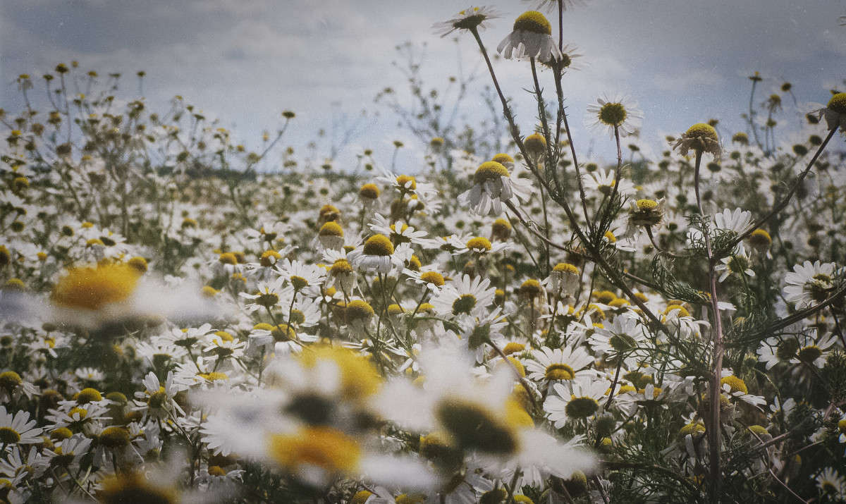 ������� ����� ����� ������� �� PhotoGeek.ru #����� #��������� #������ ��� ������� #����� �������������� #��������������� #������