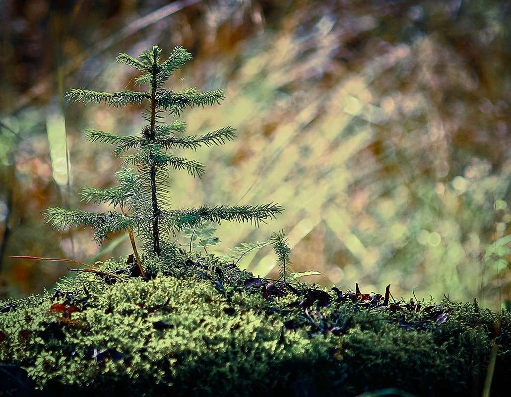 ������� ����� ����  ��� �� PhotoGeek.ru #������ ��� �������