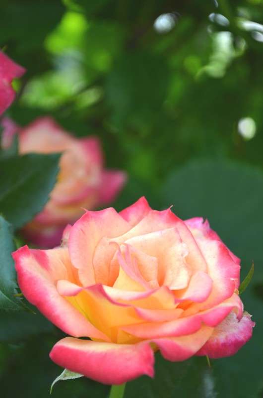 ... ����� ���� ���������� �� PhotoGeek.ru #�����