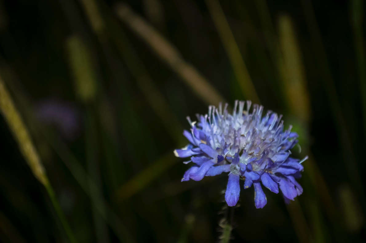 ... ����� ���� ���������� �� PhotoGeek.ru #���������