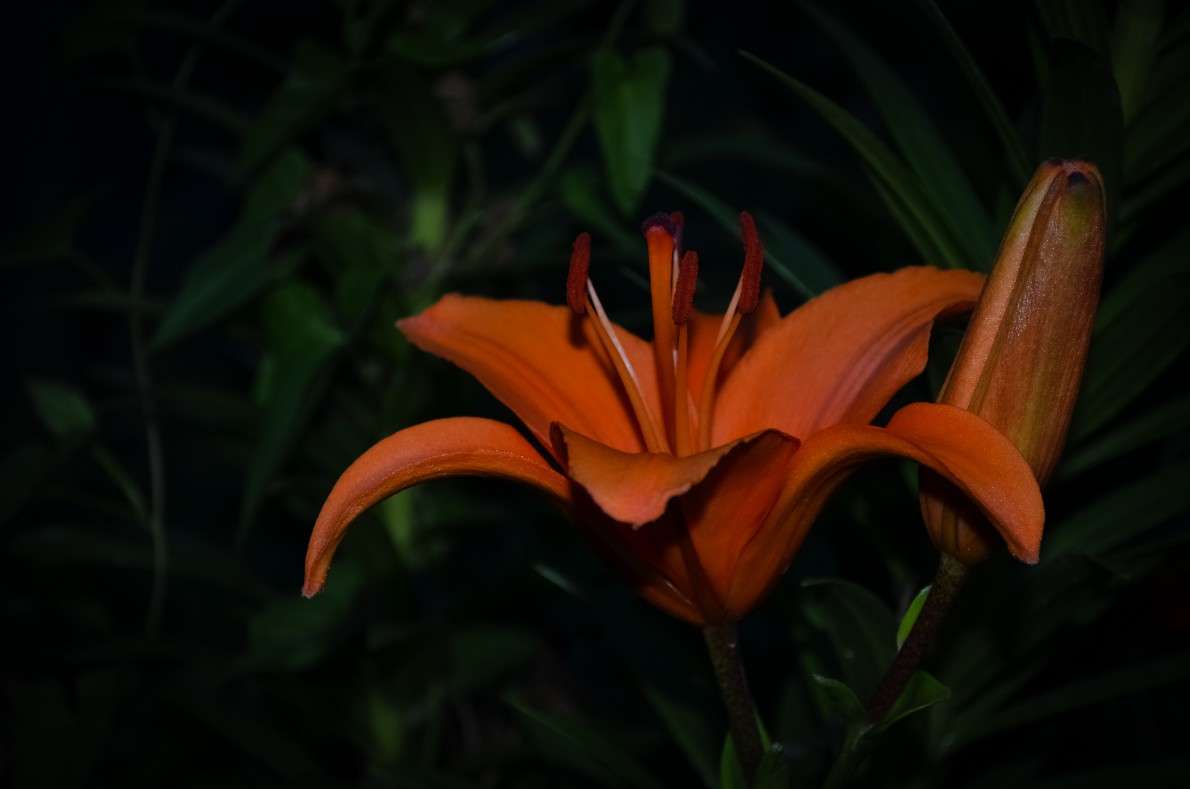 ... ����� ���� ���������� �� PhotoGeek.ru #������ ��� �������