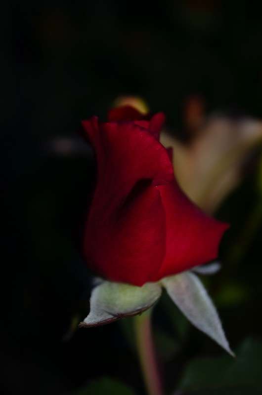 ... ����� ���� ���������� �� PhotoGeek.ru #������ ��� �������