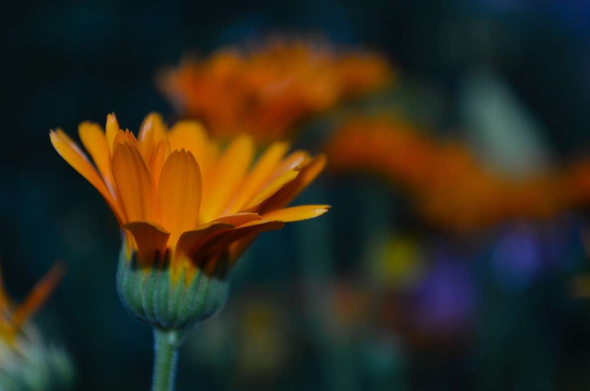 ... ����� ���� ���������� �� PhotoGeek.ru #���������