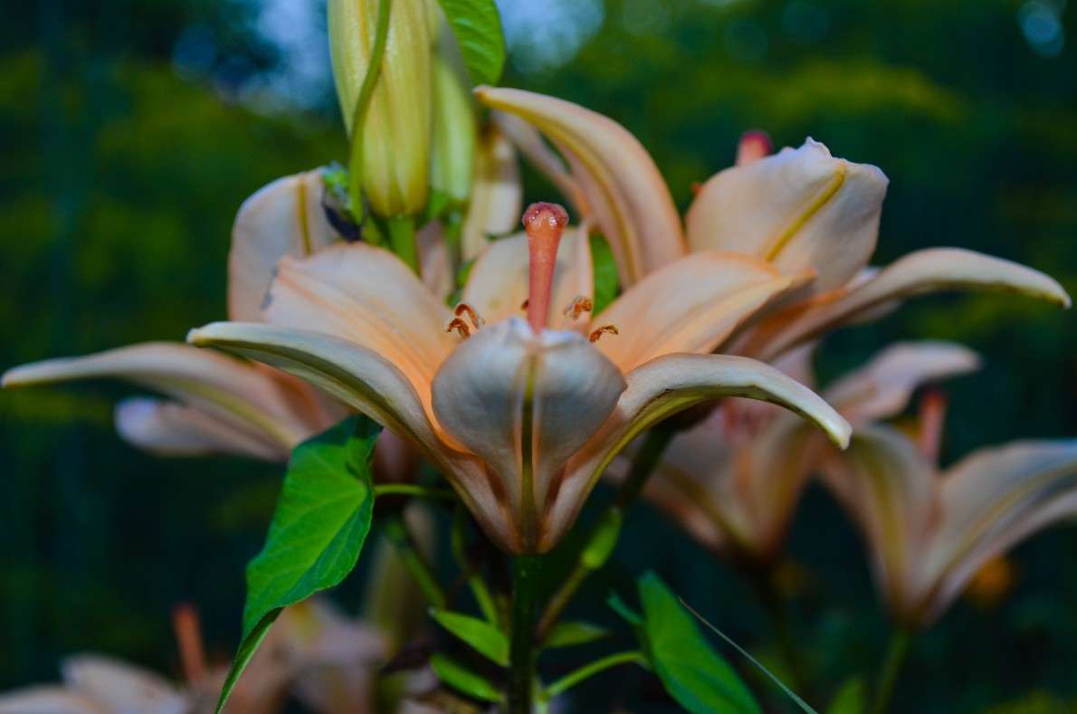 ... ����� ���� ���������� �� PhotoGeek.ru #���������