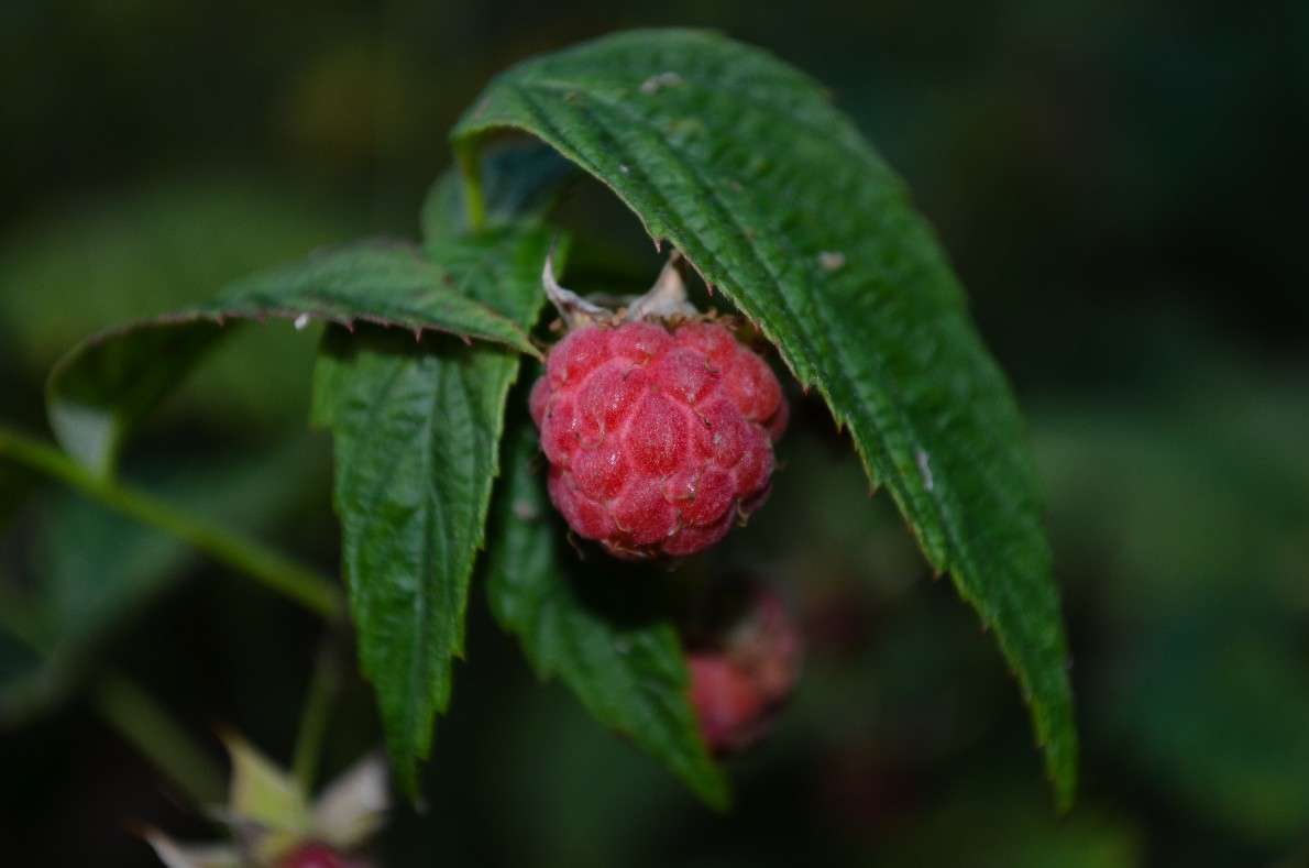 ... ����� ���� ���������� �� PhotoGeek.ru #���������