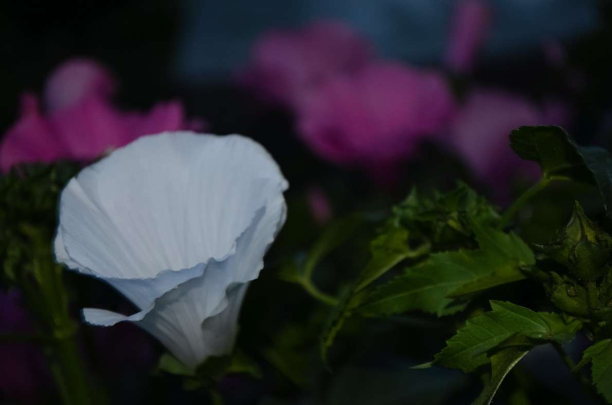 ... ����� ���� ���������� �� PhotoGeek.ru #������ ��� �������