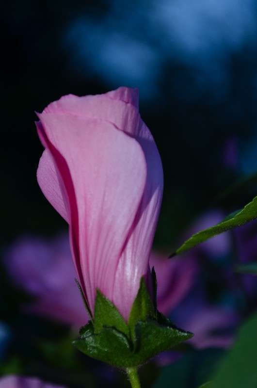 ... ����� ���� ���������� �� PhotoGeek.ru #������ ��� �������