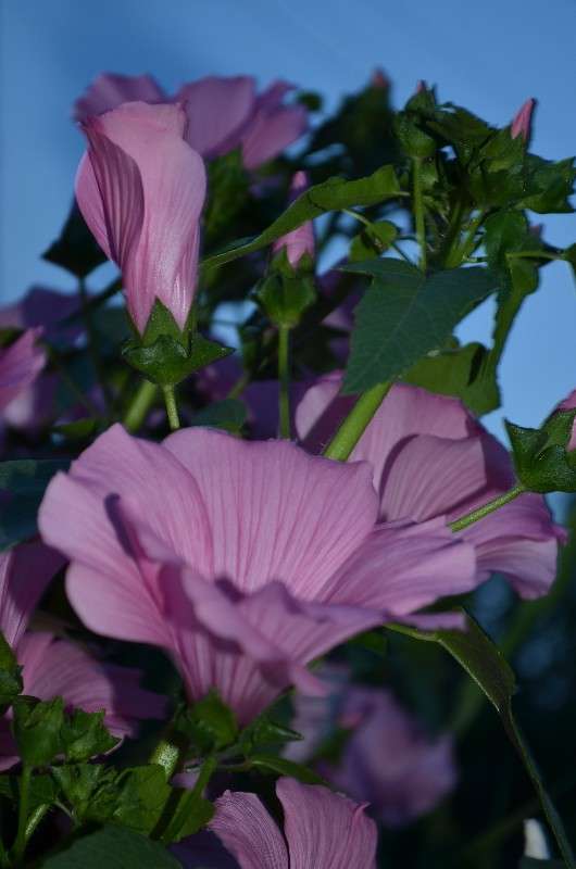 ... ����� ���� ���������� �� PhotoGeek.ru #������ ��� �������