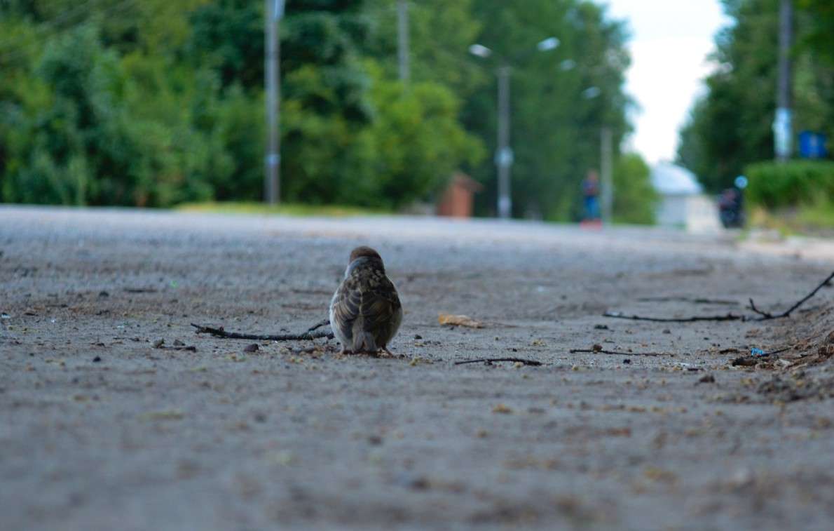 ... ����� ���� ���������� �� PhotoGeek.ru #�������� ���