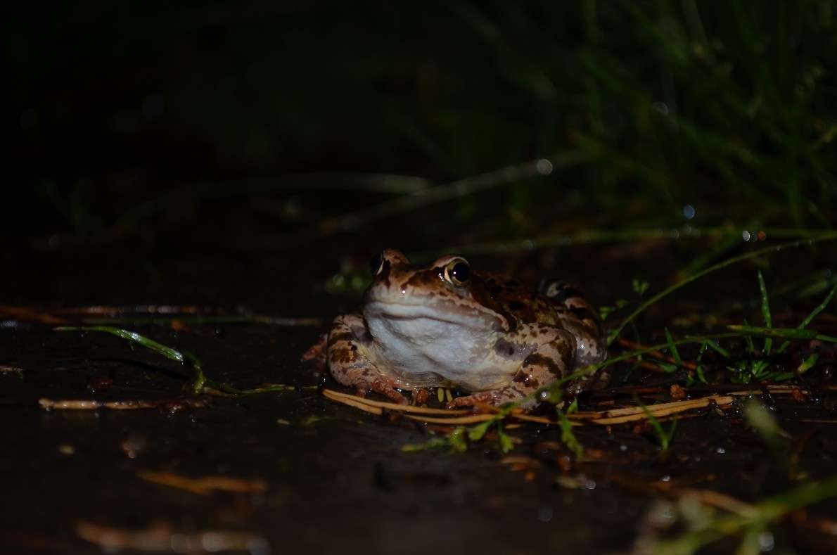 ... ����� ���� ���������� �� PhotoGeek.ru #�������� ���